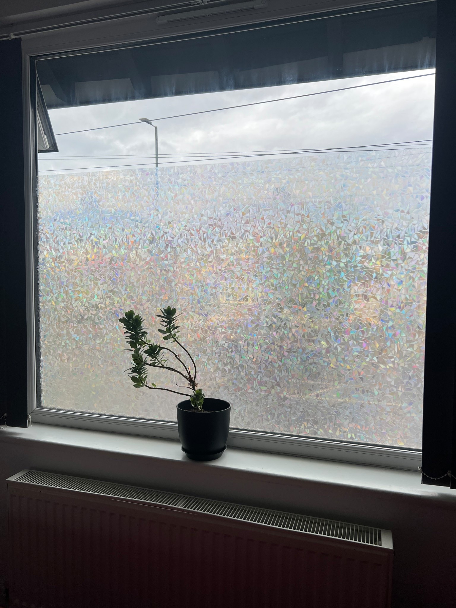 Finally found a solution for our large bedroom window that’s gives us privacy and light. Window film in the beautiful pattern - available on Amazon AND reduced for PRIME DAY 

#LTKxAmazon 

#LTKhome #LTKuk #LTKxAmazon