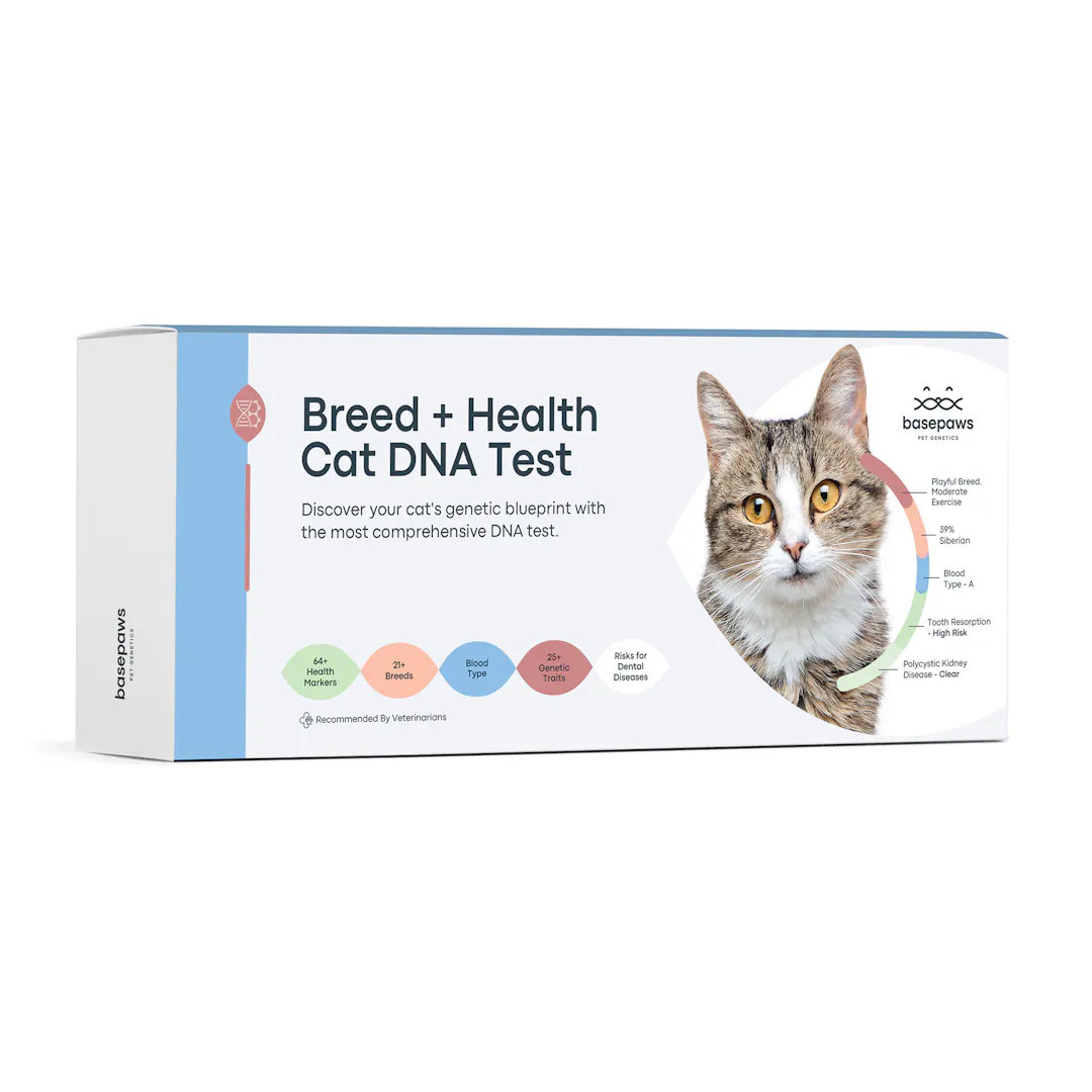 Breed and Health Cat DNA Test | Basepaws