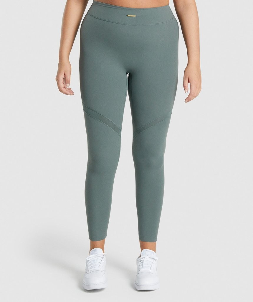 Whitney Mesh Leggings | Gymshark (Global)