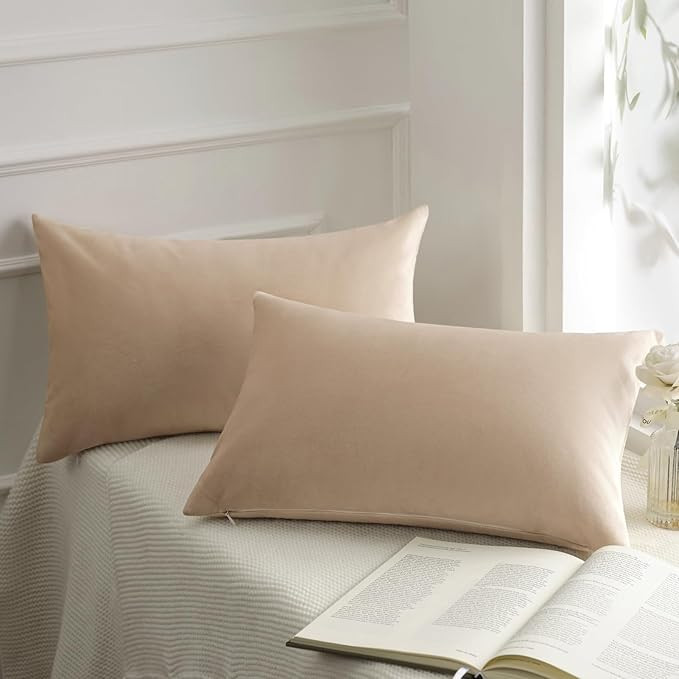 Phantoscope Pack of 2 Velvet Decorative Throw Decorative Pillow Cover Soft Solid Square Cushion C... | Amazon (US)