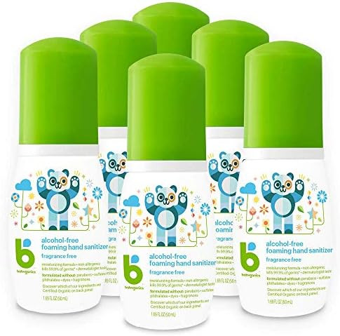 Babyganics Foaming Pump Hand Sanitizer, Alcohol Free, Travel Size, Fragrance Free, Kills 99.9% of... | Amazon (US)