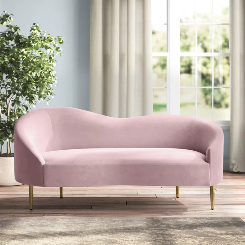 Shurtz 67" Velvet Curved Loveseat | Wayfair North America