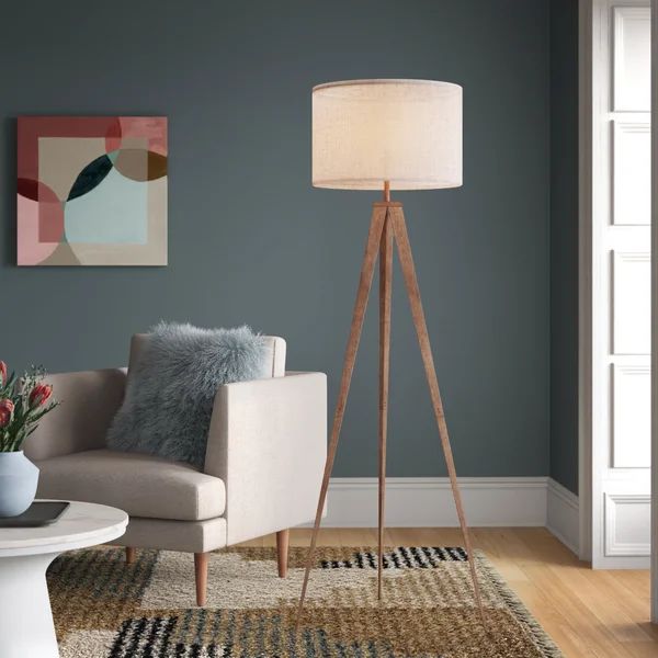 Nalan 61" Tripod Floor Lamp | Wayfair Professional