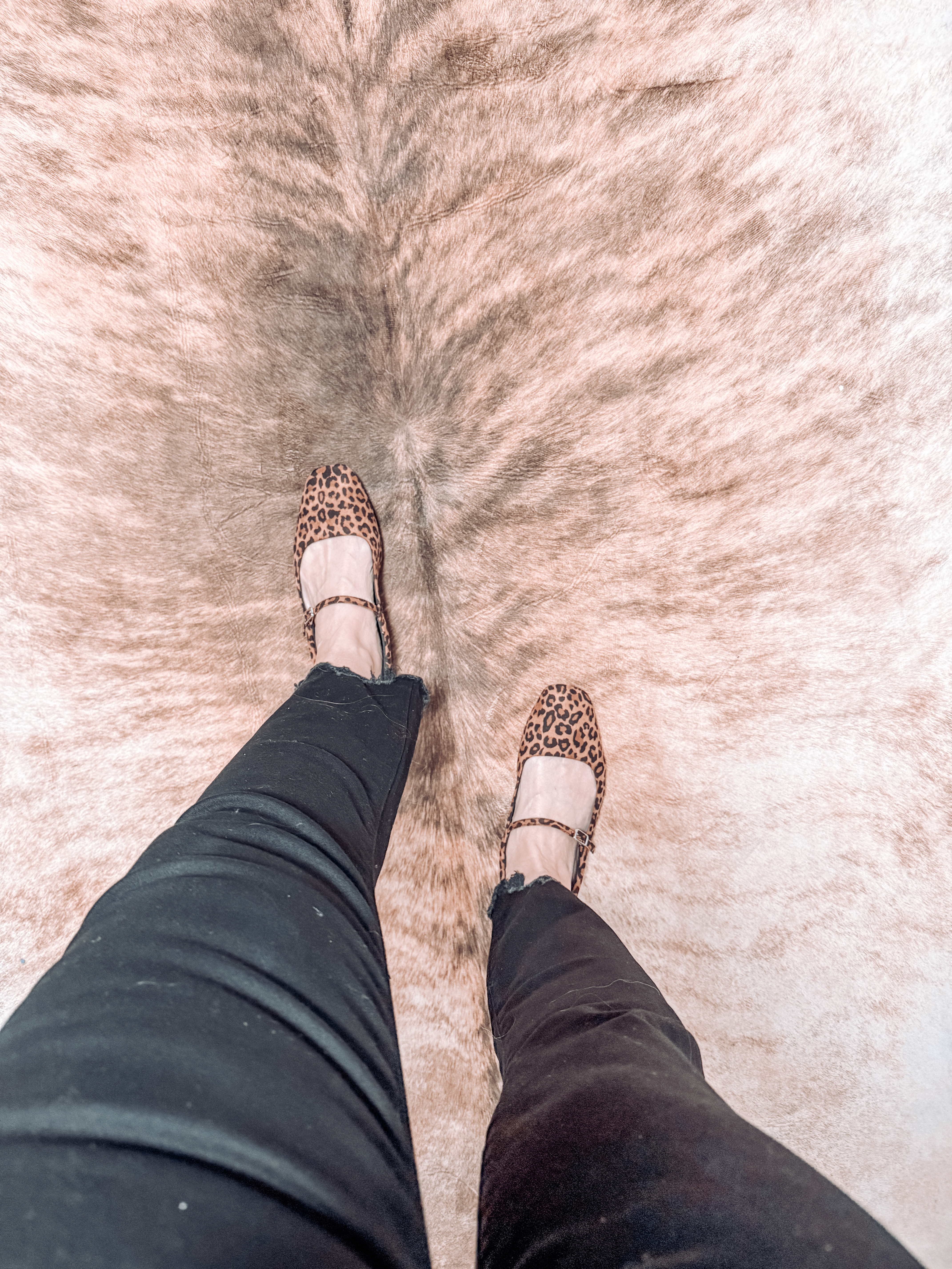 The cutest leopard ballet flats

#LTKFindsUnder50 #LTKSeasonal #LTKShoeCrush