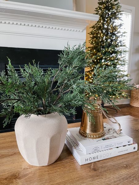 Cypress stems, neutral vase, gold bell, white coffee table books, slim Christmas tree, neutral Christmas decor, coffee table decor 

#LTKHoliday #LTKhome #LTKSeasonal