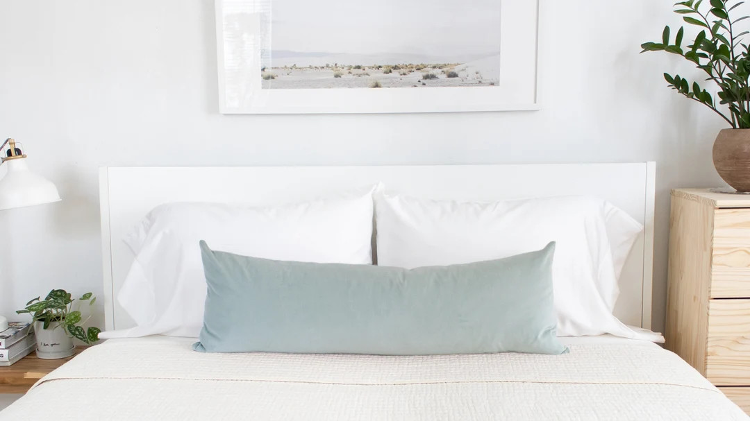 Powder Blue Velvet Throw Pillow Covers Luxury Velvet - Etsy | Etsy (US)