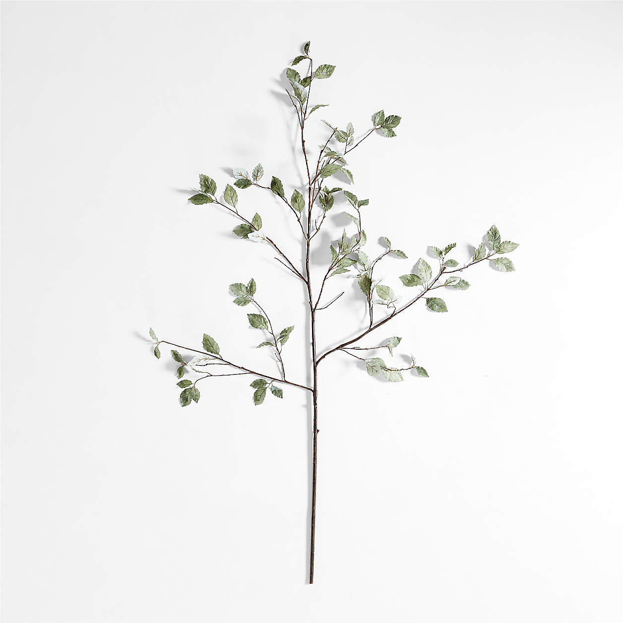 Faux Sage Green Leaf Branch 66" + Reviews | Crate & Barrel | Crate & Barrel