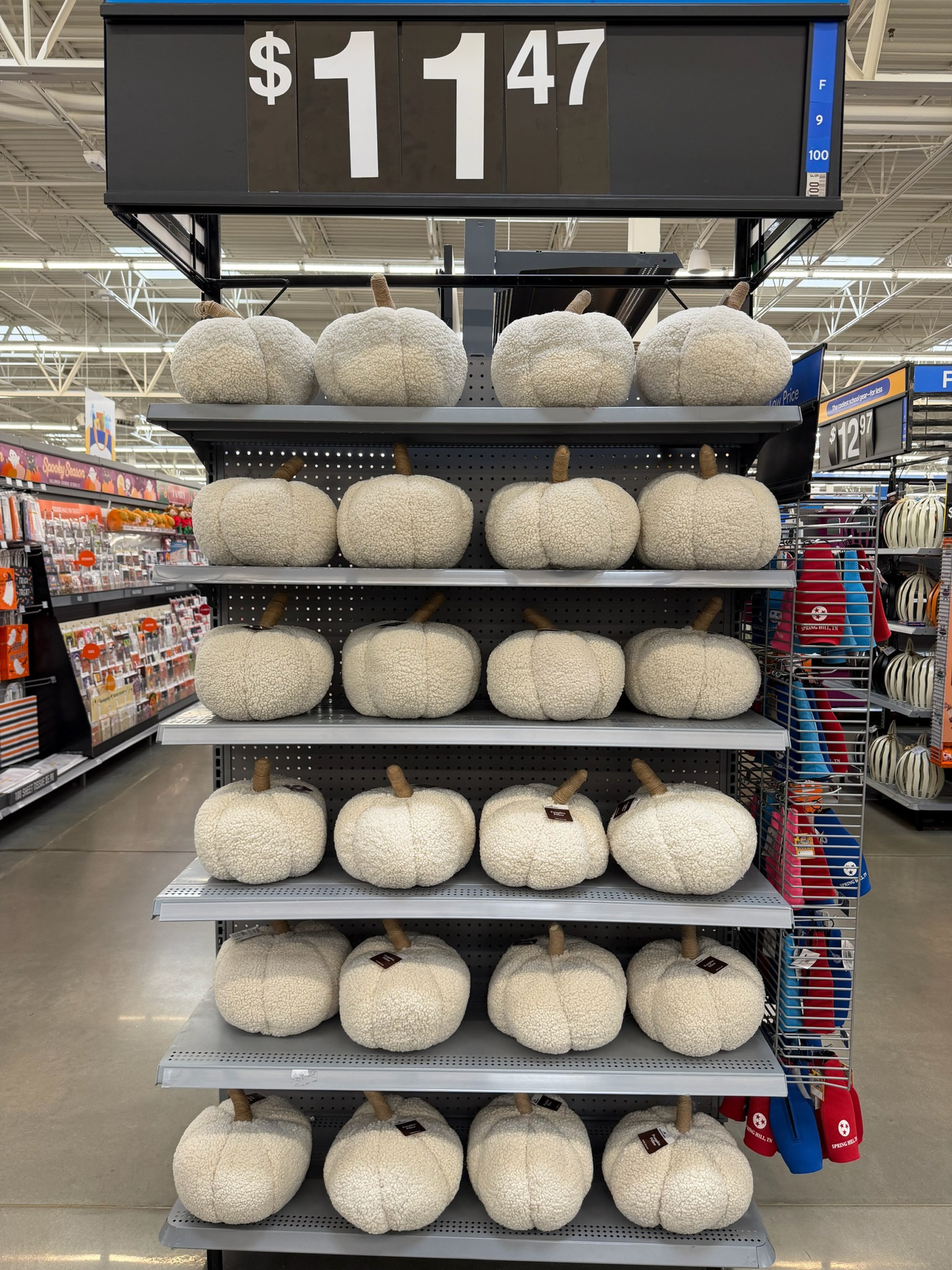 Okay these pumpkins are SO cute and under $12!!! 🤎 Perfect neutral fall find






neutral fall decor, pumpkin decor, fall home decor, Walmart finds, affordable fall decor, fall home finds, cozy home decor, seasonal decor, carla.bushey 

 #LTKSeasonal #LTKHome