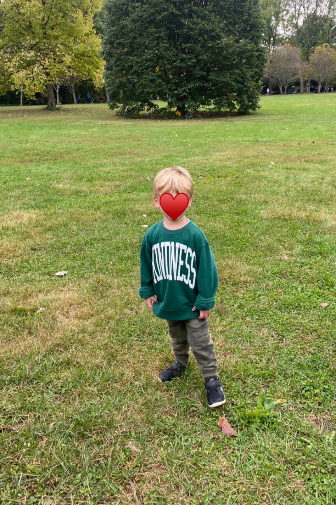 My son is obsessed with this sweatshirt! He asks to wear it every day. He’s almost 3 and wearing a size XS and it’s on sale!

#LTKkids #LTKfamily