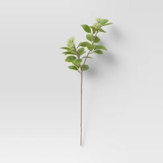 Seeded Green Stem - Threshold™ | Target