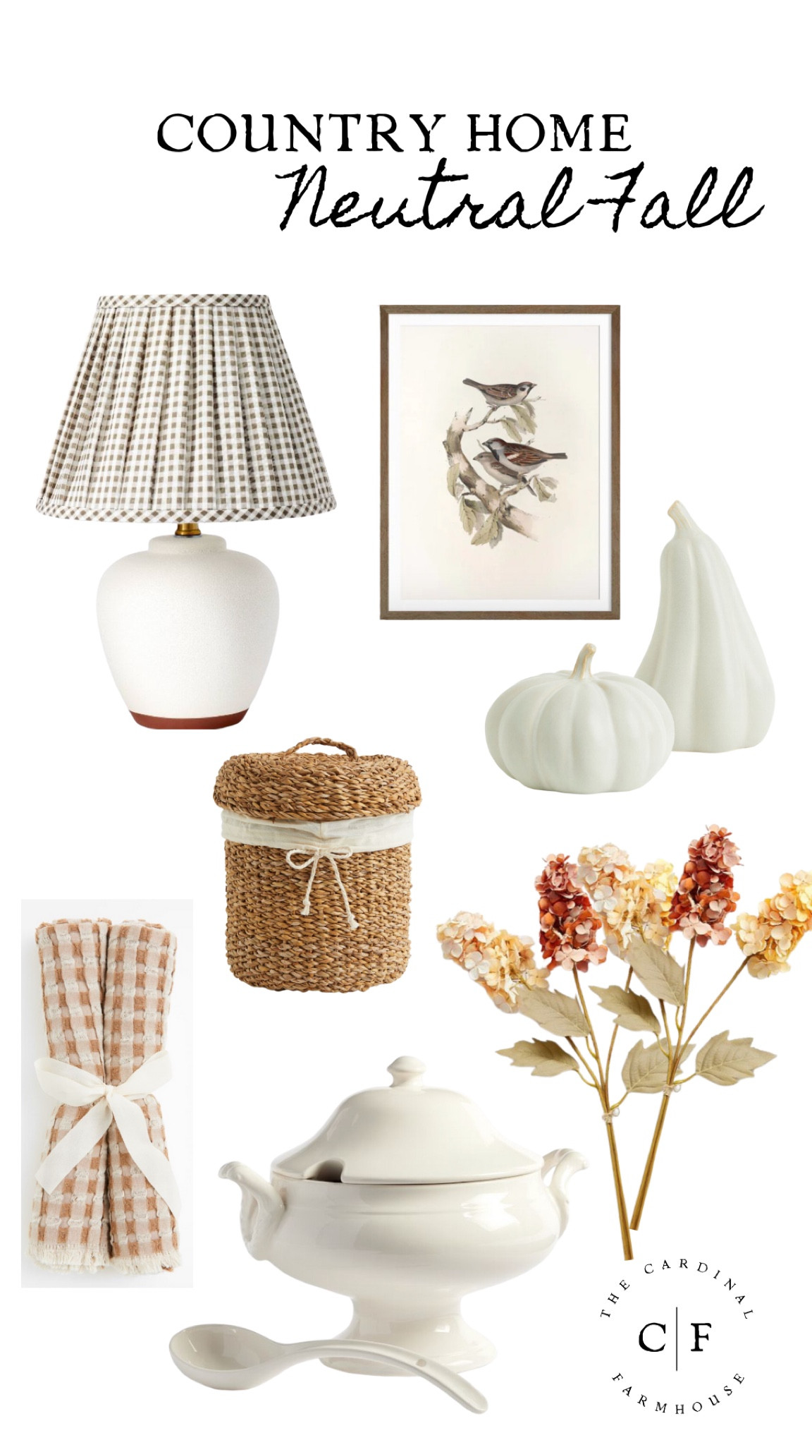 My neutral fall home picks 🤍🍂

#LTKSeasonal #LTKhome #LTKstyletip