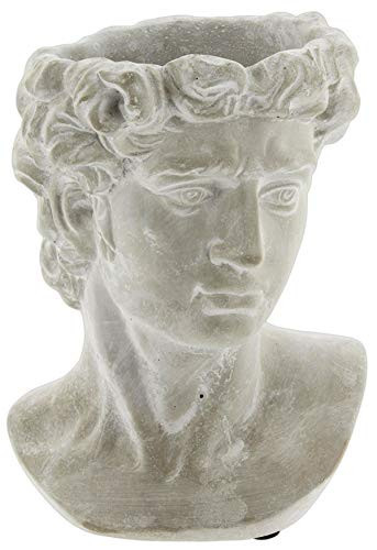 Lucky Winner Greek Statue Head Cement Planter - Unique Sculpture Plant Pot for Indoor Outdoor Home Garden Decor (9") | Amazon (US)