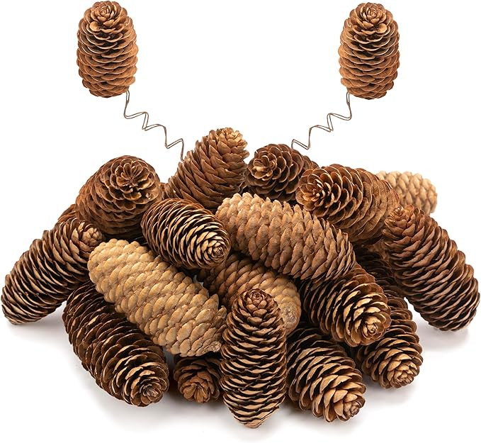 24 Pcs Natural Pine Cone Kit with Brown Iron Wires for DIY, 2.2"-3.5" Big Spruce Pine Cones, Rust... | Amazon (US)