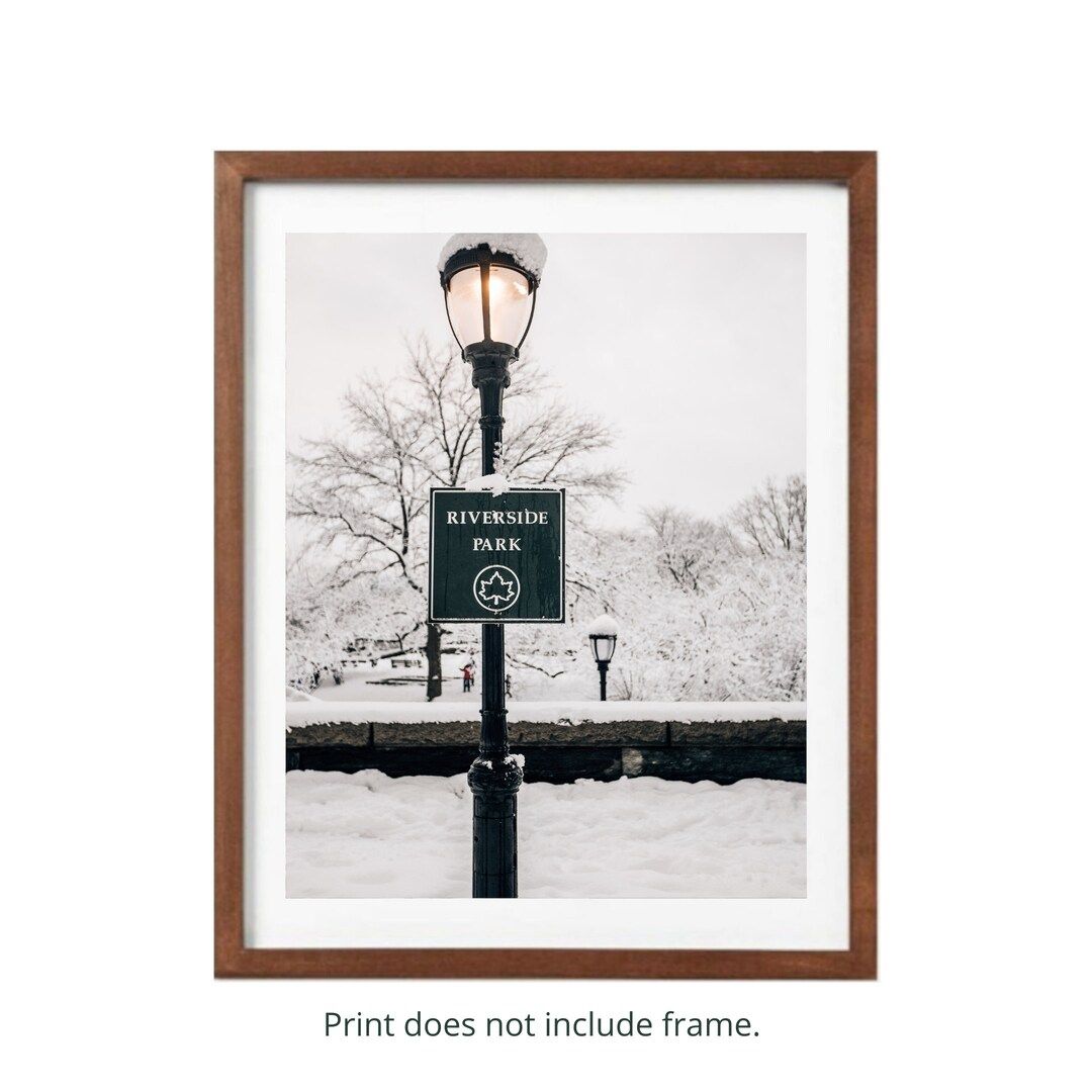 Riverside Park Lamp Post in the Snow - Etsy | Etsy (US)