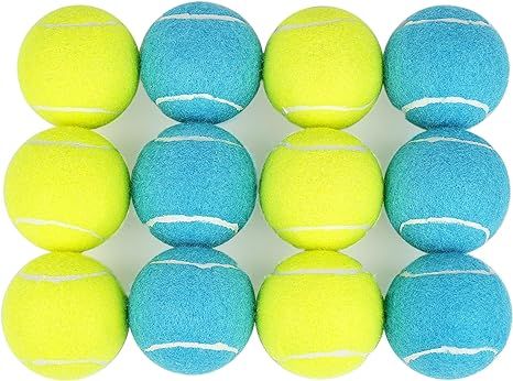 PrimePets Tennis Balls for Dogs, 2.5 Inch, 12 Pack, Squeaky Dog Toy, Interactive Pet Fetch Ball f... | Amazon (US)