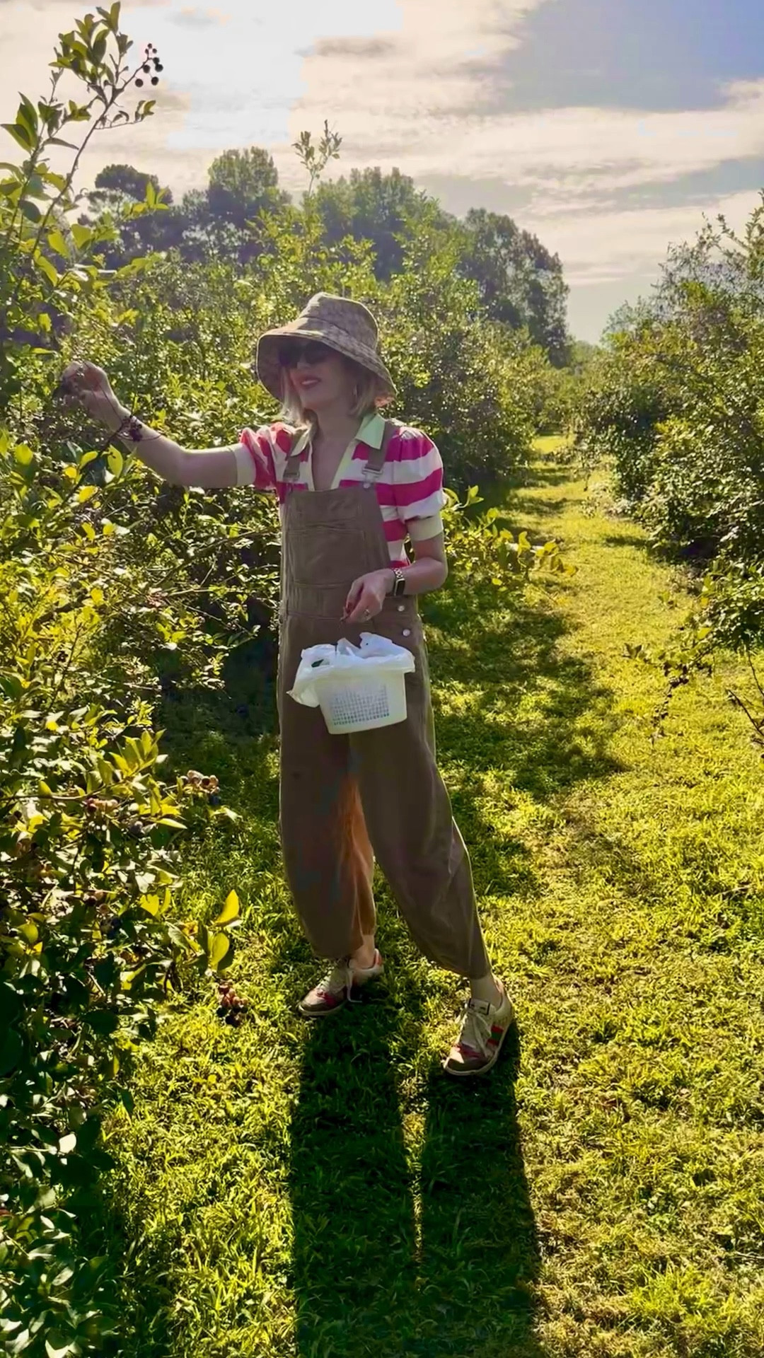 We started our Monday morning with a little escape to Wye Mountain Flowers and Berries, a beautiful 18-acre farm tucked away in Central Arkansas 🌾🫐 With 8 acres of berries and 3 acres of flowers, it’s the kind of place that instantly slows you down—in the best way.

The farm opens from 7 a.m. to 12 p.m., so we got there bright and early to beat the heat (pro tip: it will get hot—bring water and a hat!). The first hour was cool and peaceful, and by the end we had three full buckets of blueberries and one of blackberries. Worth every drop of sweat!

If you’re looking for a little fresh air, pretty views, and a farm-to-table kind of morning, this is such a lovely outing just outside of town.

#GardeningOutfit #SunHat #farmOutfit

#LTKTravel #LTKWorkwear #LTKOver40