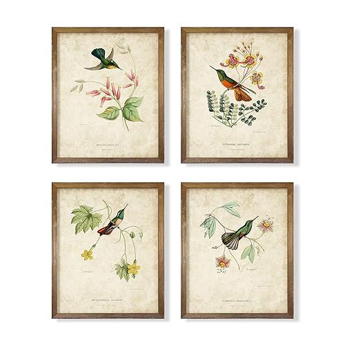 Vintage Bird Wall Art - Hummingbird Pictures for Wall - France Country Botanical Flower Poster - ... | Amazon (US)