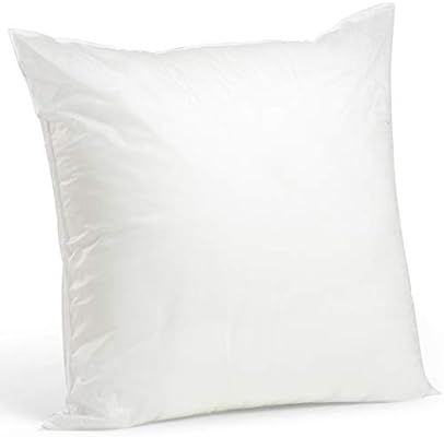 Foamily Premium Hypoallergenic Stuffer Pillow Insert Sham Square Form Polyester, 28" L X 28" W, S... | Amazon (US)