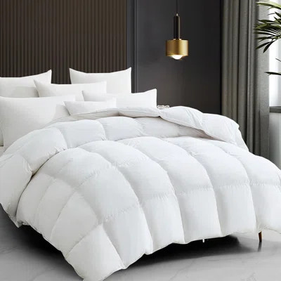 All Season Soft and Warm Feather Down Comforter Duvet Insert | Wayfair North America
