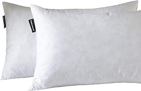 basic home 16X26 Oblong Feather & Down Pillow Insert, 100% Cotton Fabric, Set of 2, White … | Amazon (US)