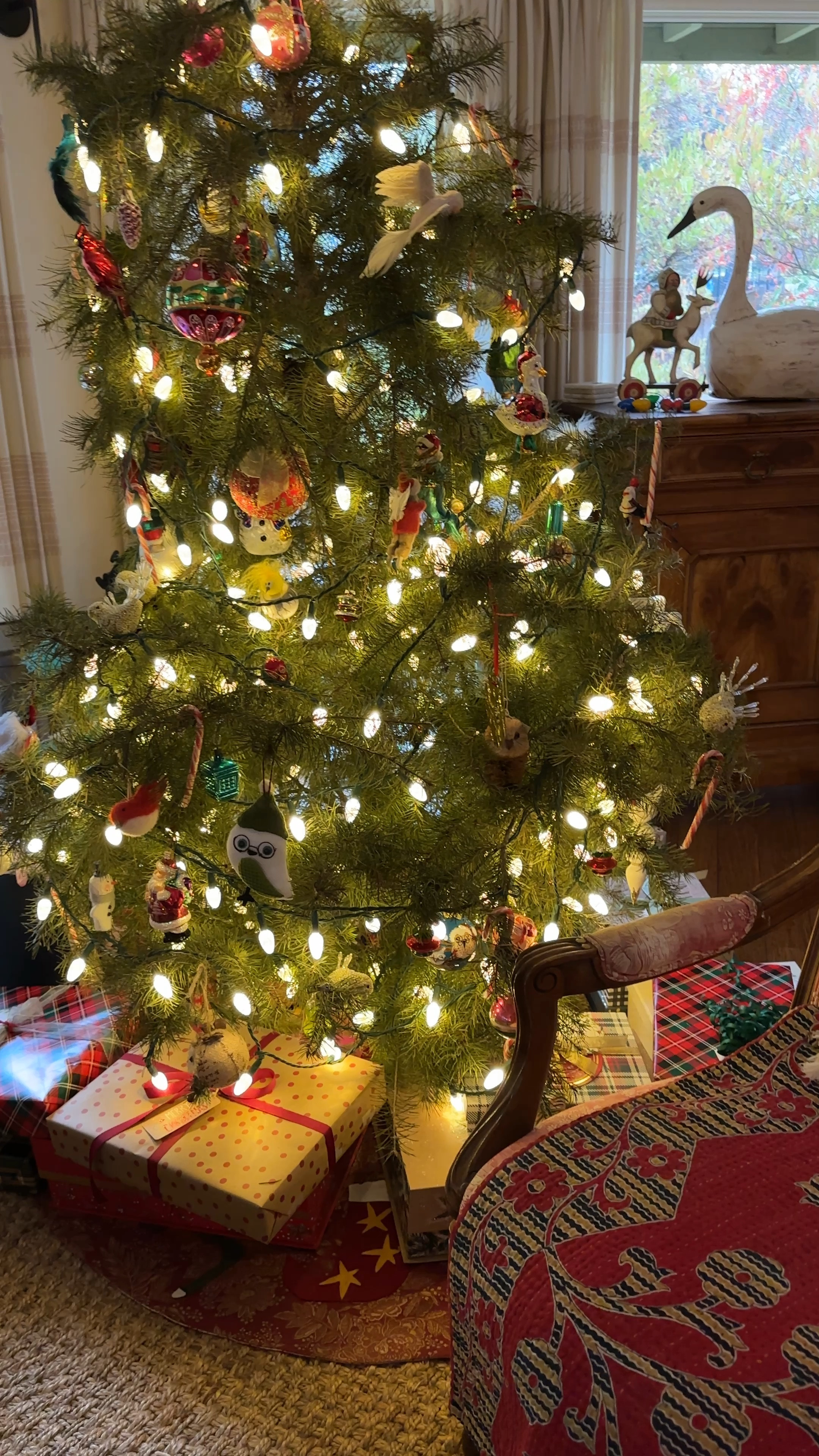 Grow your own Lion’s Mane mushrooms! So easy and such a fun and tasty gift🍄