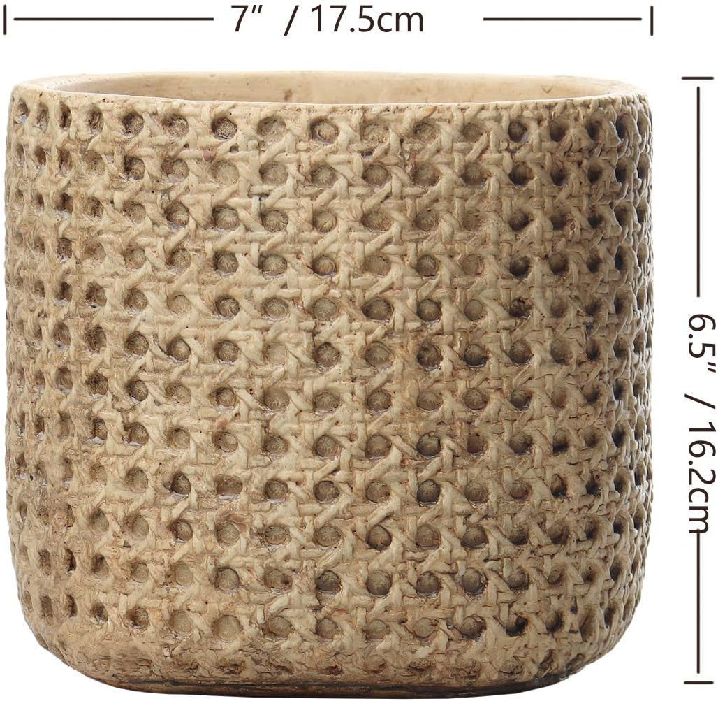 SAROSORA 7" Weave Pattern Flower Pots Ceramic Succulent Planter with Drainage Hole for Indoor Out... | Amazon (US)