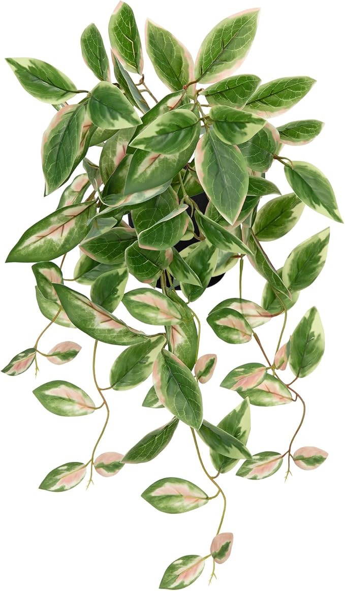 DILATATA Fake Plants Artificial Potted Plants 20 Inch Faux Peperomia Ivy Vine Plant Hanging Plant... | Amazon (US)