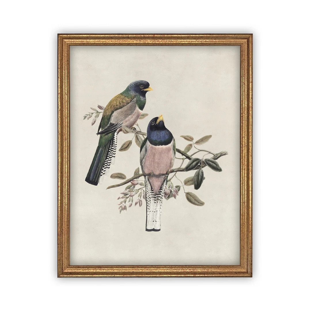 Vintage Framed Canvas Art  // Framed Vintage Print // Vintage Painting // Birds Art // Girls Room... | Etsy (US)
