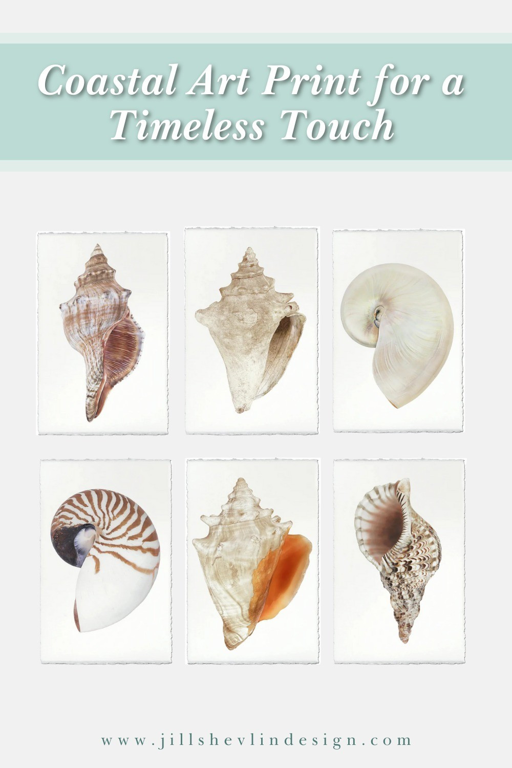 Coastal Art Print for a Timeless Touch 🌊🖼️Bring calm, character, and coastal charm to your walls with this elegant art print. A perfect piece to complete any serene space.

#LTKHome #LTKFamily #LTKStyleTip