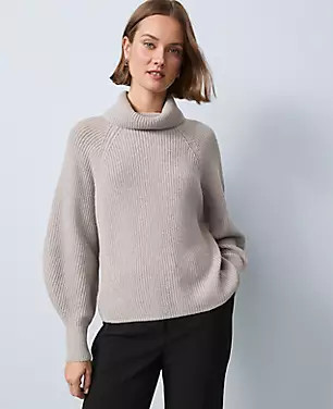 Ribbed Turtleneck Sweater | Ann Taylor