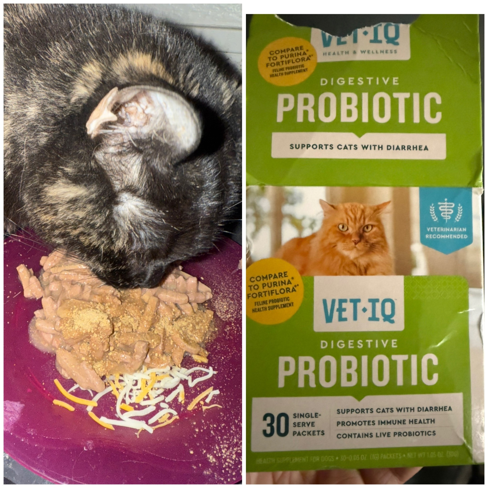 We have rescue cats. This is our oldest one. She will be 18 in October.  The probiotic is helpful for her digestion. #cats #rescuecats #cathealth #pethealth #pets 

#LTKPets #LTKFamily