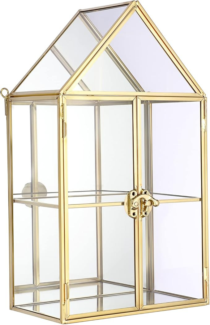 ELLDOO 2 Tier Clear Glass Storage Box, Gold Mirrored Jewelry Makeup Display Organizer Case, Decor... | Amazon (US)