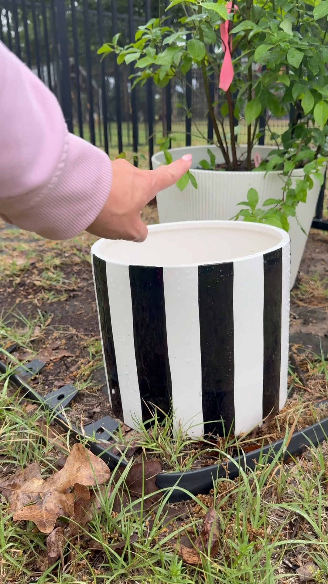 $25 planters from Walmart!

So cute for your garden
Giving a Makenzie Childs vibe for a fraction of the cost
￼

Mainstays Andrew 10" x 10" x 8.75" Round Rich Black and Arctic White Ceramic Planter


#LTKdayinmylife #LTKHome