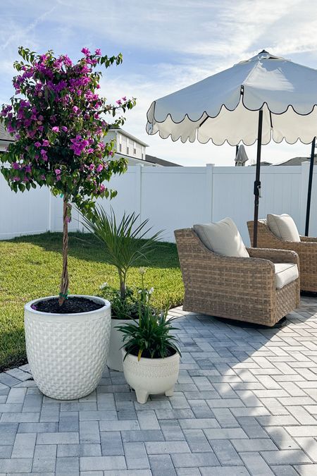 Patio 🪴 #backyard #patio #plants #planters #pots #patiofurniture #umbrella 

#LTKstyletip #LTKhome