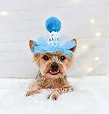 Blue Dog Birthday Hat Personalized | Amazon (US)