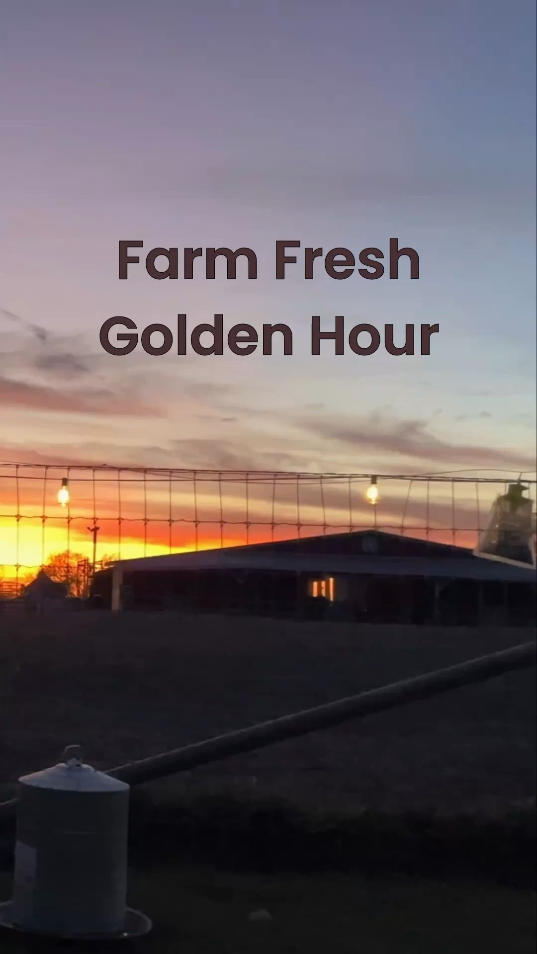 Slow living in my accidental farm girl era and I think I’m in love with this sweet little country way of life. @nuuds @Lucchese Bootmaker @The Farmer's Dog 

#LTKHome #LTKdayinmylife #LTKmomlife