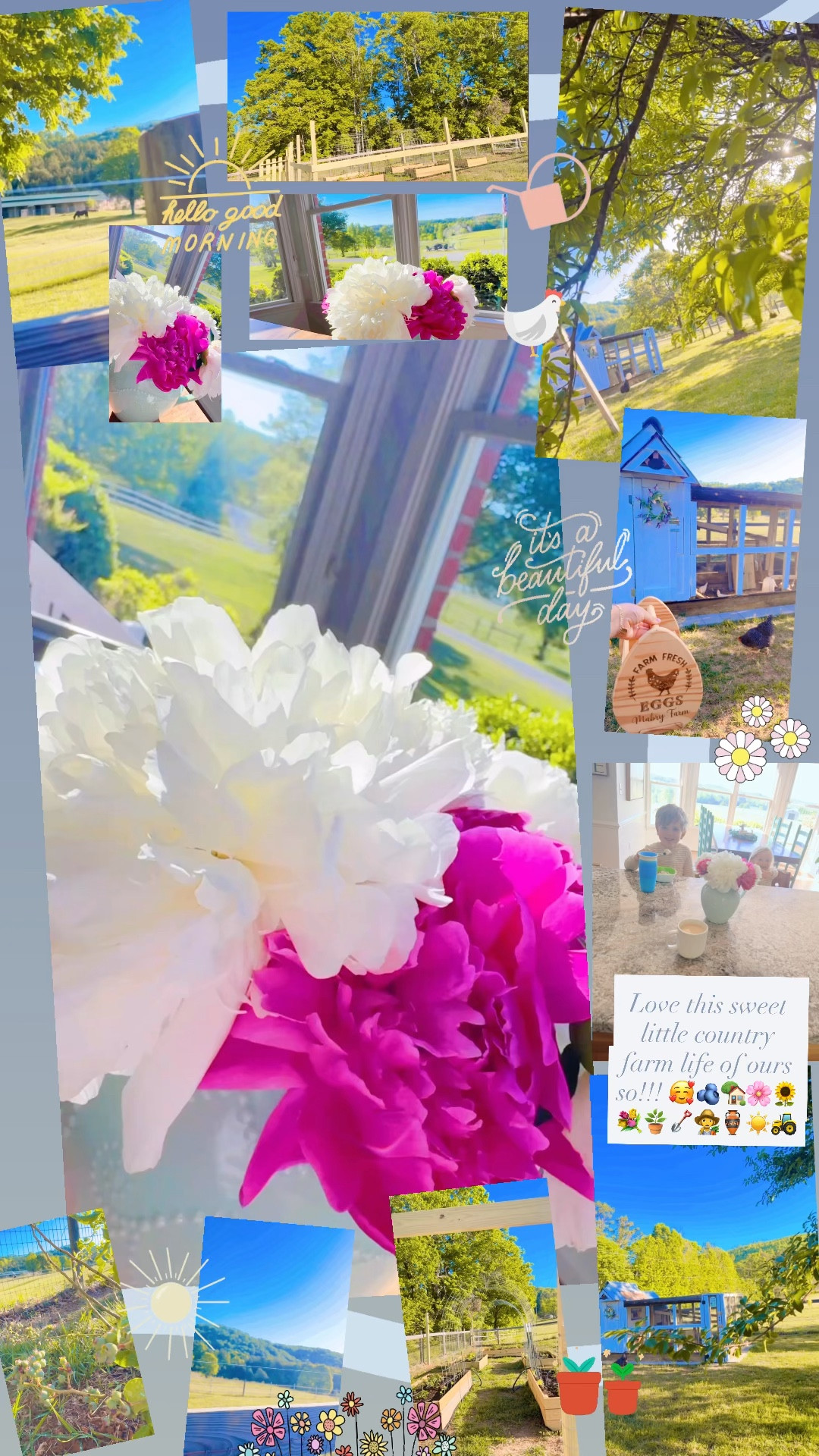 Love this sweet little country farm life of ours so!!! 🥰🫐🏡🌸🌻💐🪴🪏👩‍🌾🏺☀️🚜