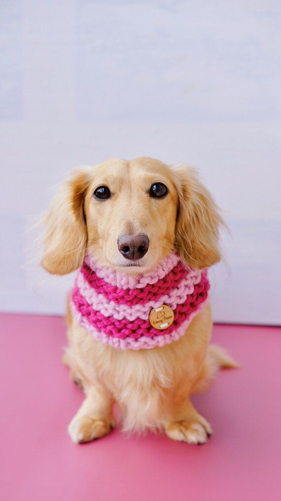 Knitted Dog Snood Scarf Pink, Christmas, Dachshund, Dog Gift, Multicolor, Fall, Winter | Etsy (US)