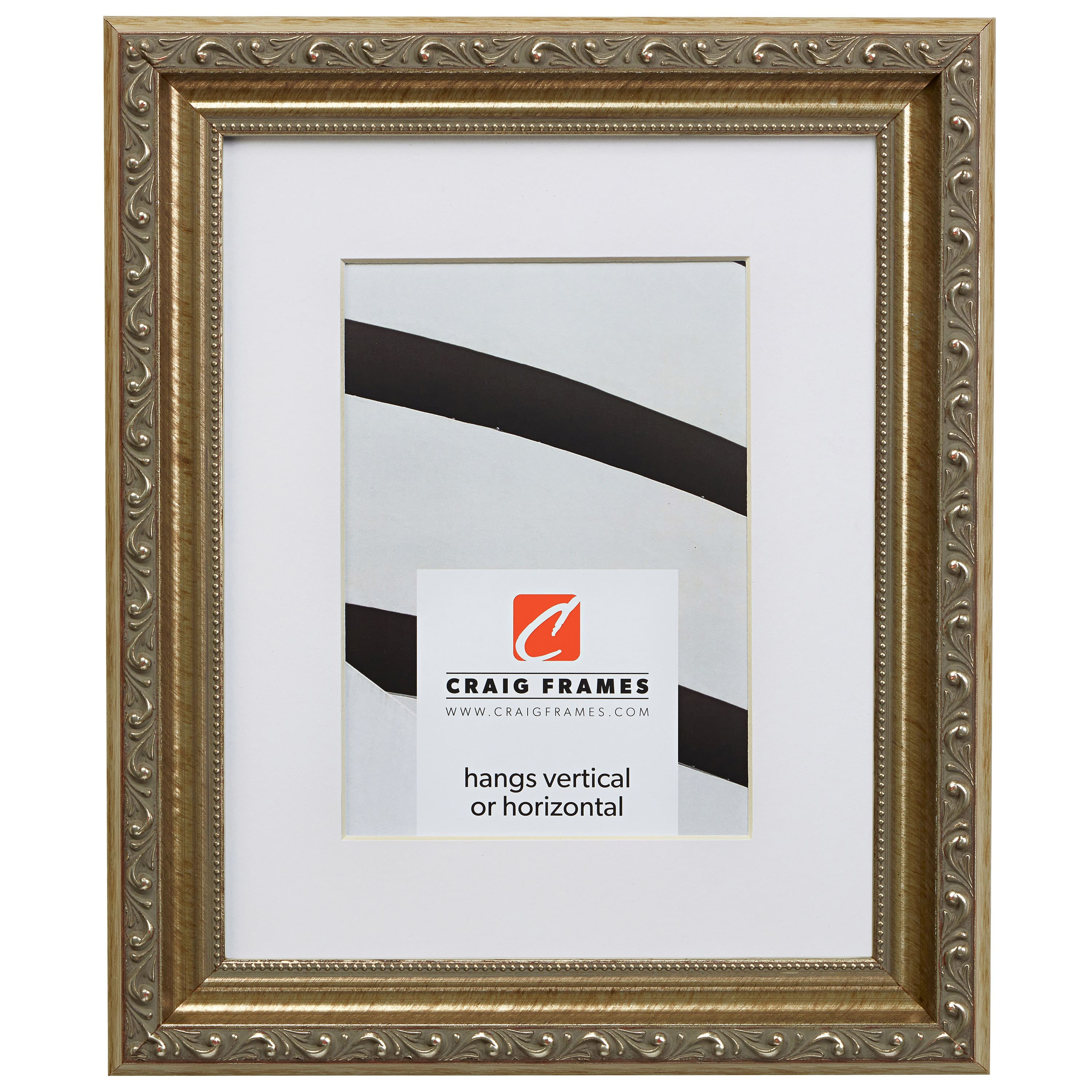 Craig Frames 24x36 Matted to 20x30 Picture Frame Silver Ancien Ornate 1.25 Inch Wood Moulding Wall Display for Art Posters or Photos | Lowe's