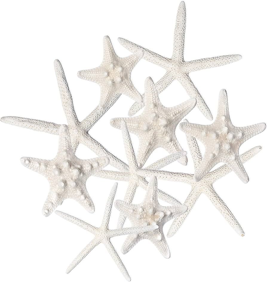Starfish Decor - 10 Pack Assorted Star Fish 2-6 Inch - Starfish for Crafts - White Starfish Wall ... | Amazon (US)