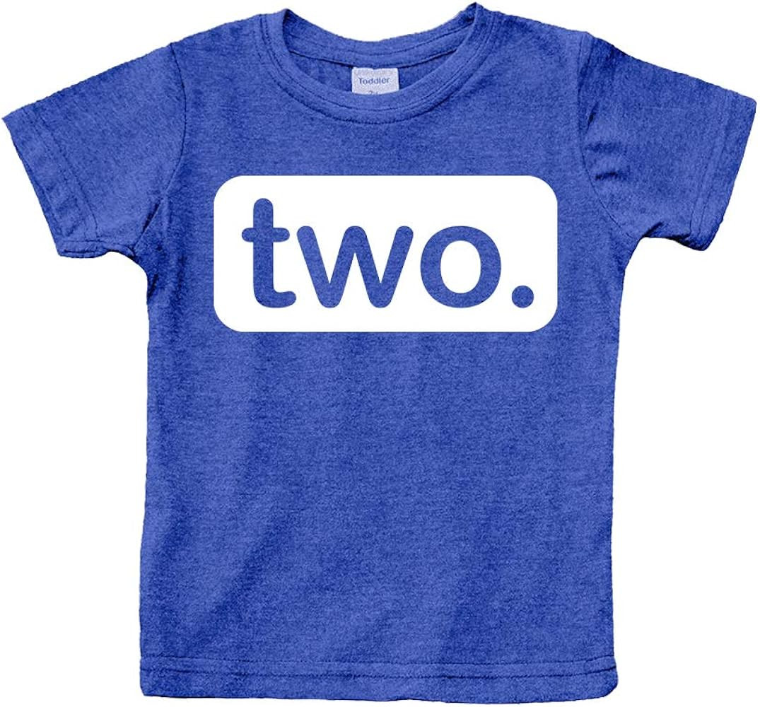 2nd Birthday Shirt boy 2 Year Old Toddler Kids Outfit Second Two t-Shirt Party | Amazon (US)