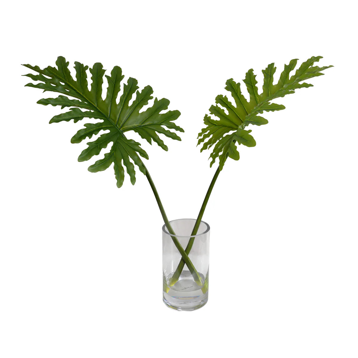 28" Faux Philodendron Selloum Leaves in Glass | The Well Appointed House, LLC