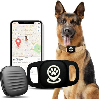 Pet Tracker For Dog, Dog Tracker Smart Pet Location Tracker With Tracker Holder, Item Finder Mfi Certificated Tracking Device, No Monthly Fee, Works W | Wayfair North America