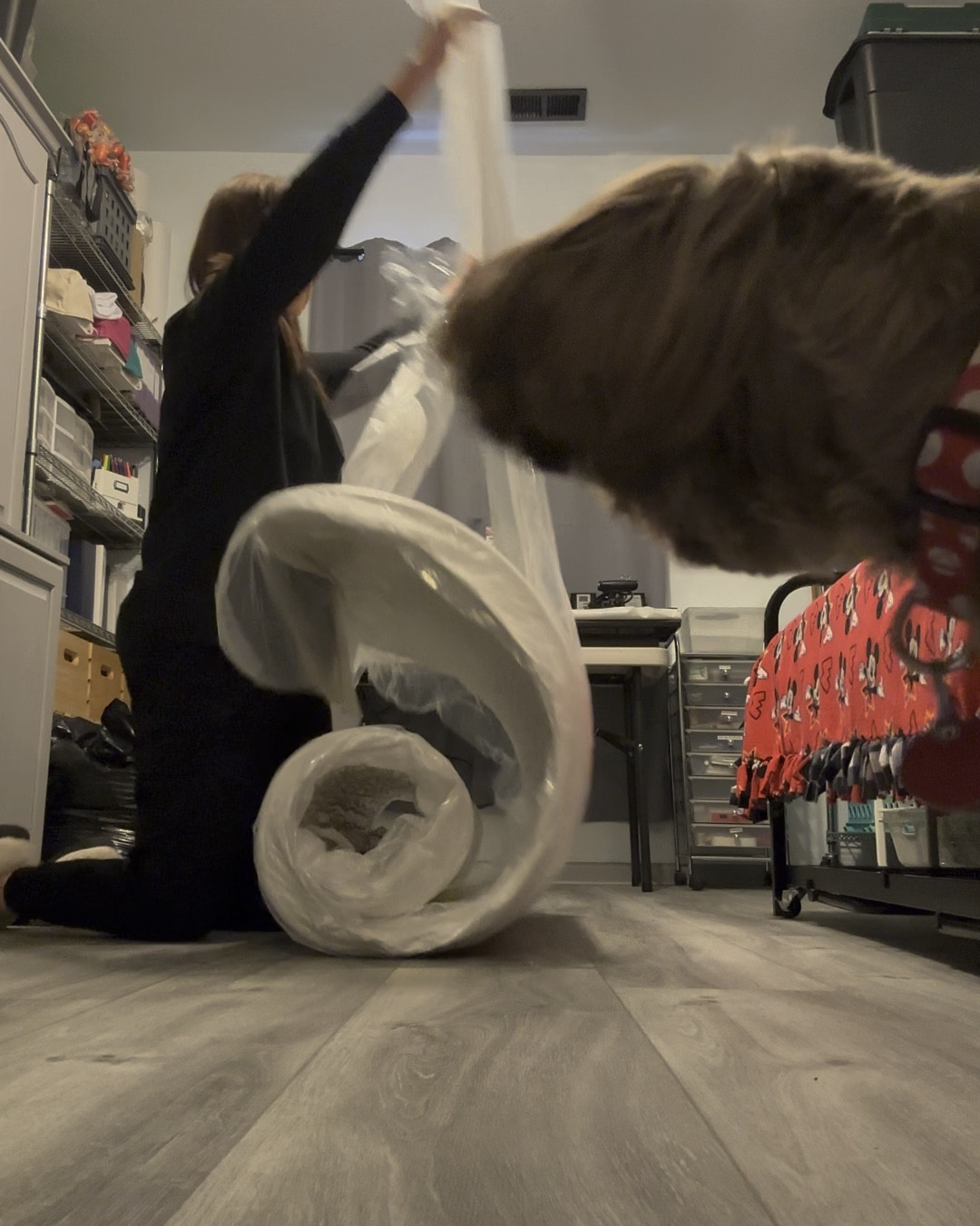 Need a quality twin mattress without the high price tag? This 8-inch mattress in a box from Amazon is under $160 and delivers comfort, convenience, and fast shipping. It’s perfect for kids’ rooms, guest spaces, or even dorms. Super easy setup—just unbox, let it expand, and it’s ready to use. 

#LTKHome #LTKSaleAlert #LTKFindsUnder50