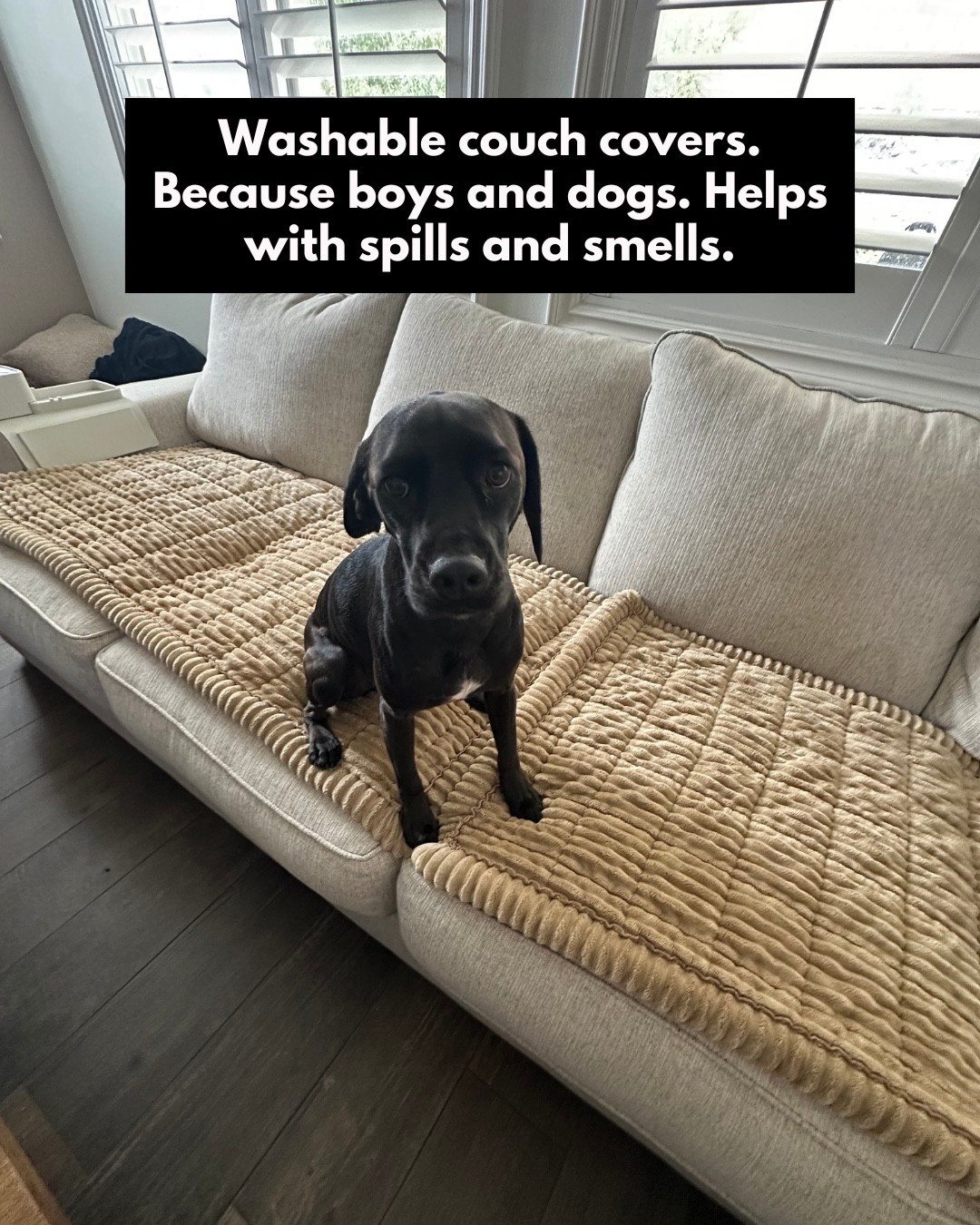 Washable couch covers. Because boys and dogs. Helps with spills and smells.

#LTKHome #LTKFindsUnder50 #LTKSeasonal