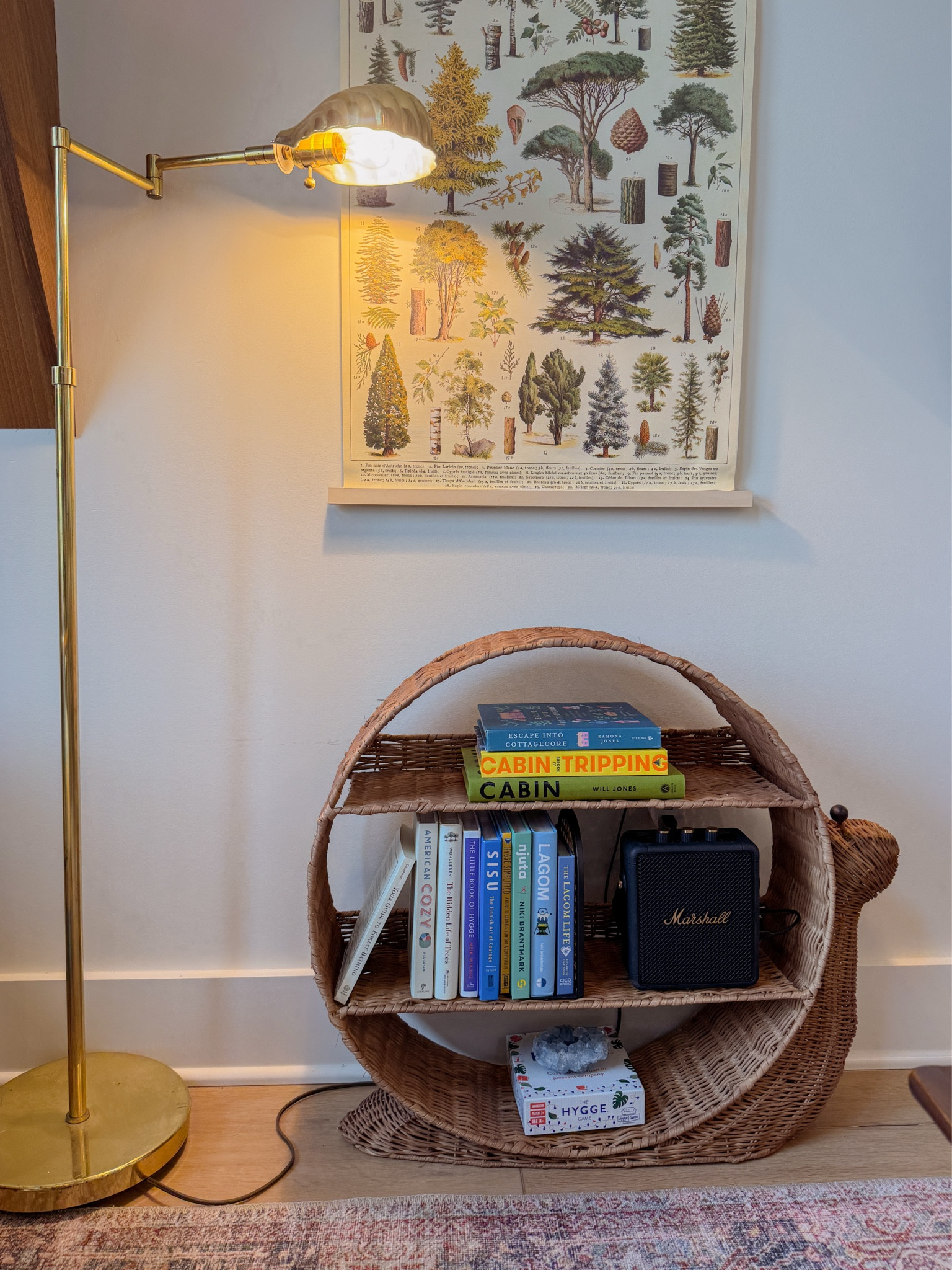 Cozy books in our cozy living room.

#LTKHome #LTKGiftGuide