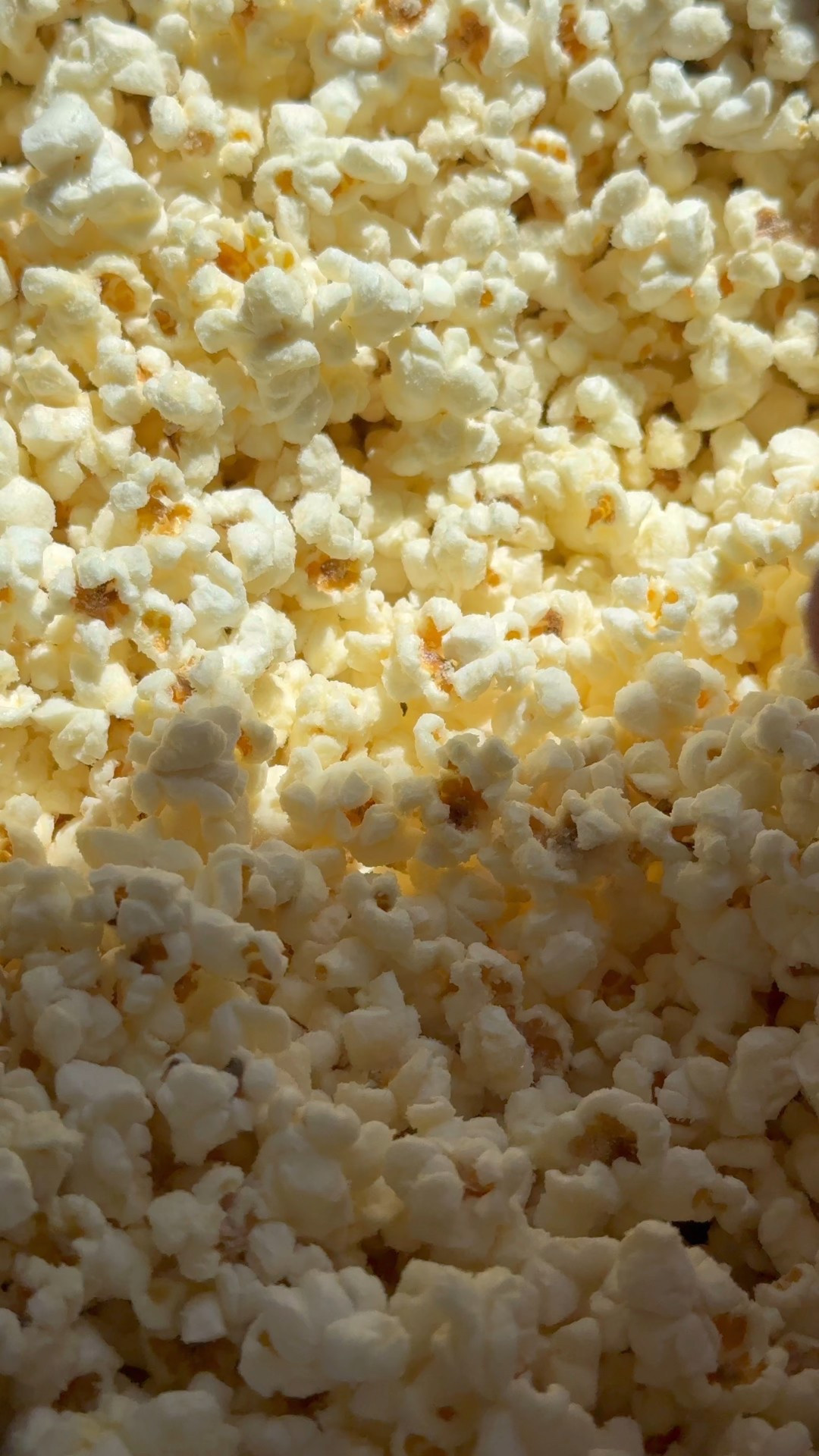 Protein popcorn but make it at home and make it truffle 😋. Seriously cannot get enough of this delicious high protein snack!! 

#LTKU #LTKHome