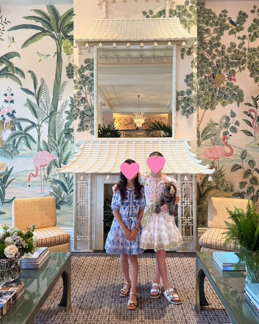 My daughter and niece wore the cutest matching dresses to breakfast at Swifty‘s in Palm Beach. These dresses would make a great Easter outfit and they come in four color variations.

Spring fashion, Easter dress, spring dress, kid, clothing, kids clothing, girl dress , kids clothing

#LTKKids #LTKBaby #LTKStyleTip