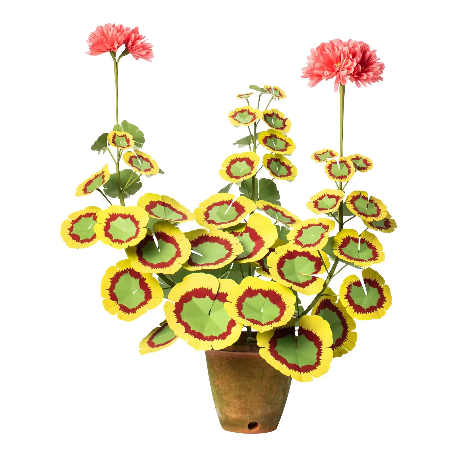 The Green Vase Geranium Plant in Salmon with Burgundy/Yellow Leaves | Chairish