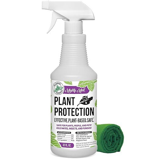 Mighty Mint 32 oz Peppermint Plant Protection Spray - Kit - for Spider Mites, Insects, Gnats, Fun... | Amazon (US)